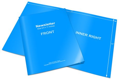 Newsletter action script