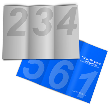 trifold brochure cover actions