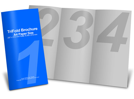 bifold brochure cover actions