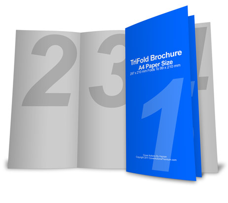 bifold brochure cover actions