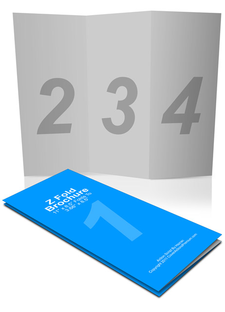 Z-Fold Brochure Action Script