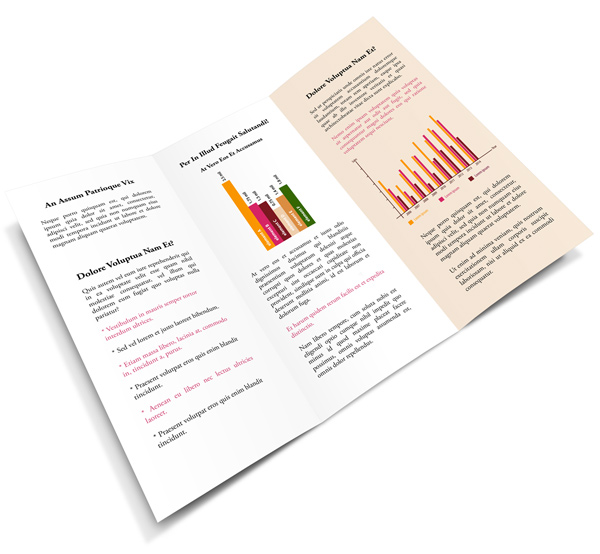 12 x 9 Tri Fold Brochure Mockup Template