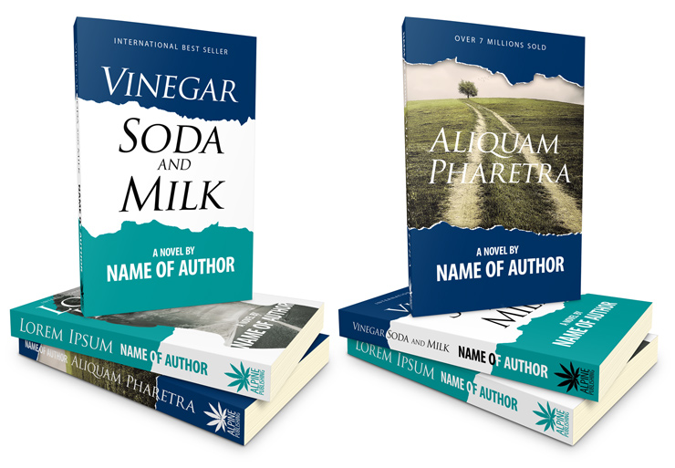 Paperback Book Cover Template -5.06 x 7.81