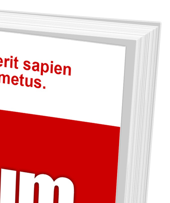 6x9 Softcover Book Mock Up