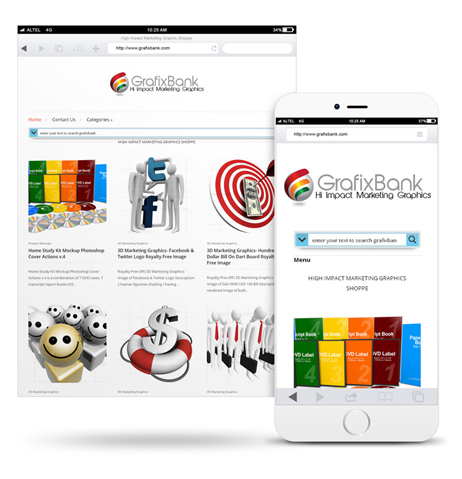 Responsive Web Display Mock Up Action