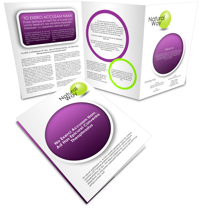 3x 8.5 x 11 Z-Fold Brochure Mockup